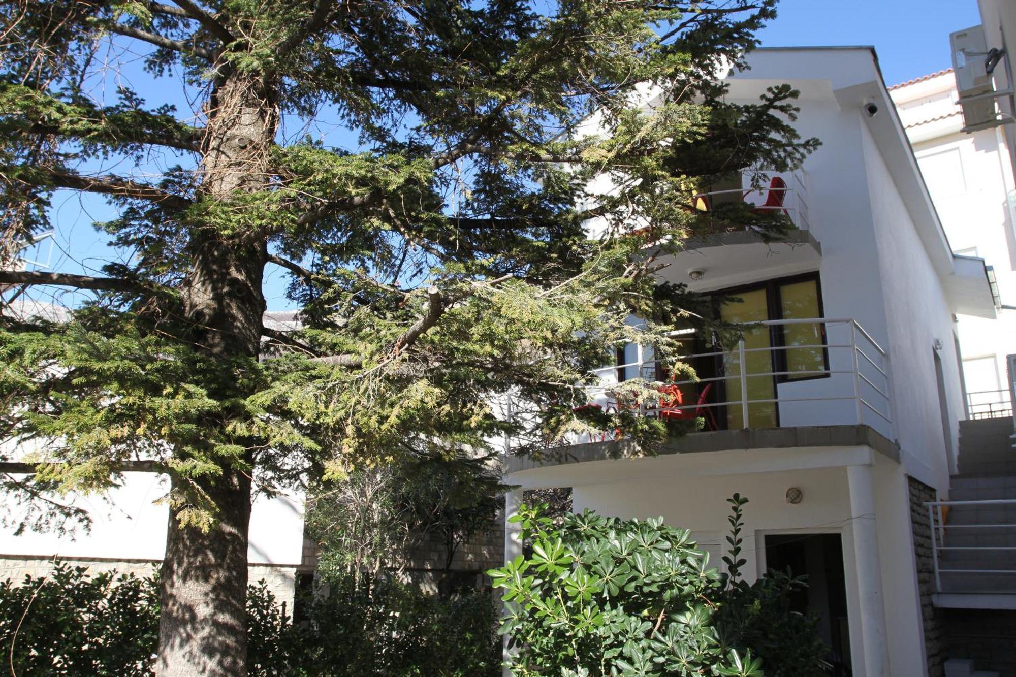Apartments Popovic Petrovac ภายนอก รูปภาพ